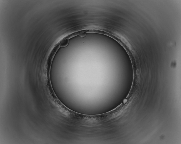 X0000100480931200806201626
