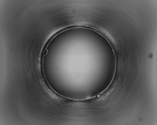 X0000100480932200806201626