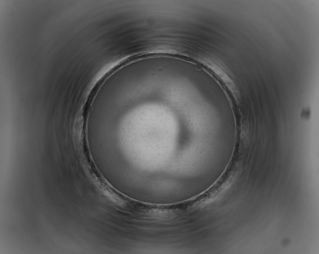 X0000100480933200806201626