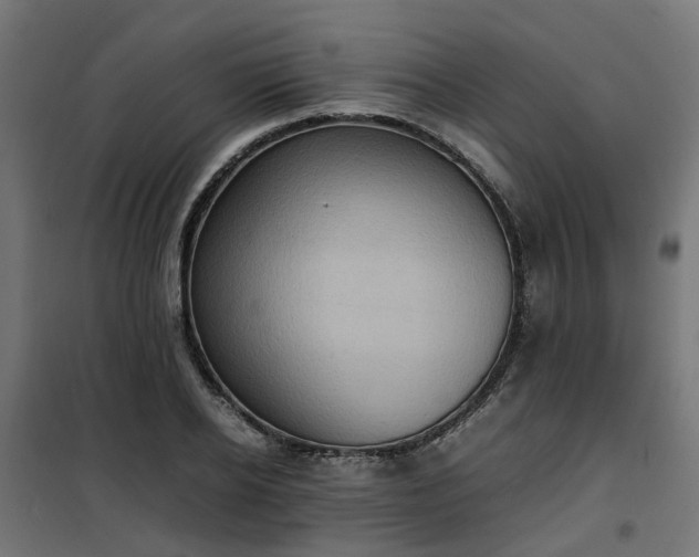 X0000100480934200806201626