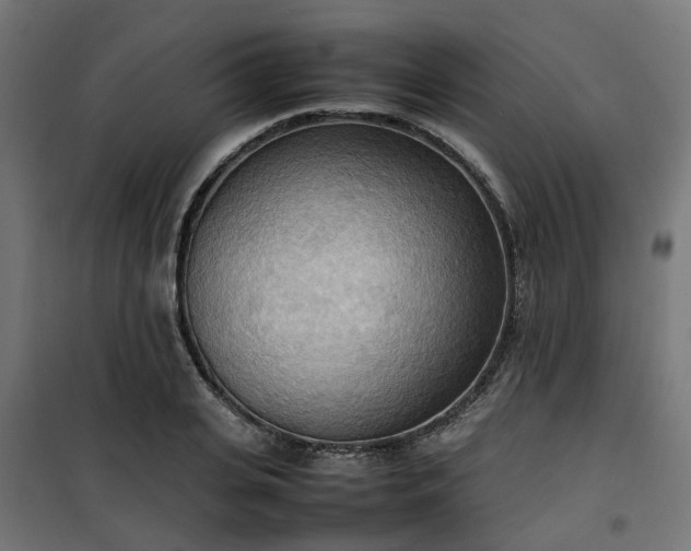 X0000100480935200806201626