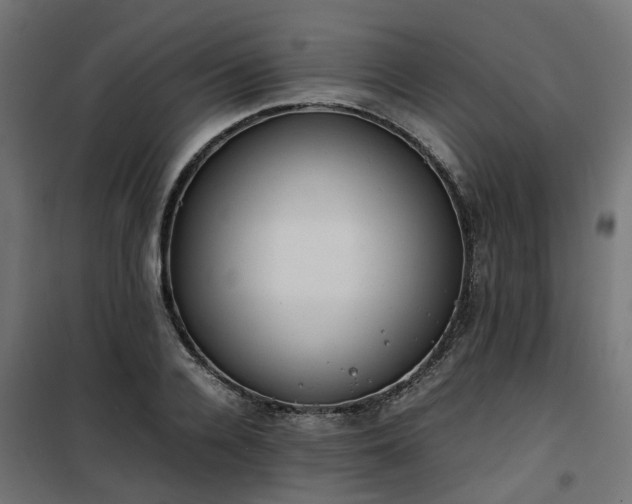 X0000100480936200806201626