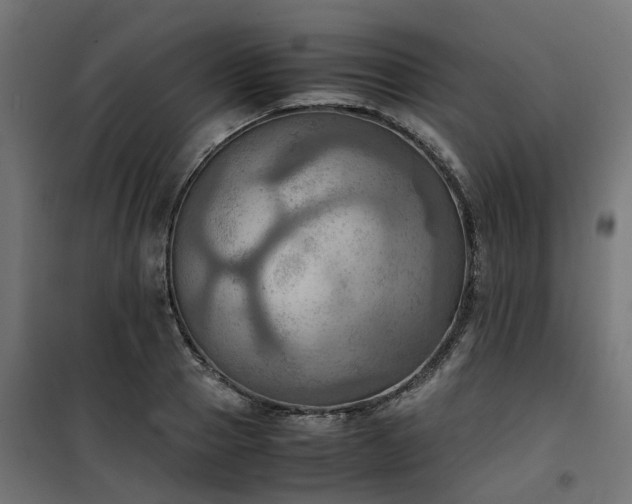 X0000100480937200806201626