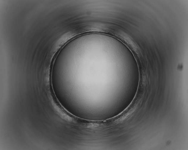 X0000100480938200806201626