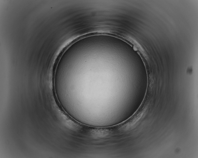 X0000100480939200806201626
