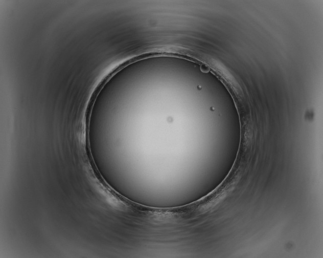 X0000100480940200806201626