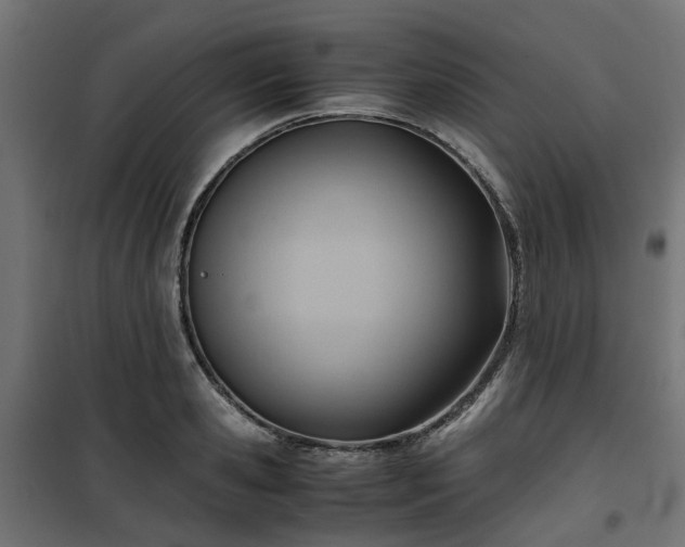 X0000100480941200806201626
