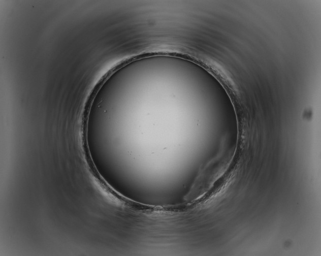 X0000100480942200806201626