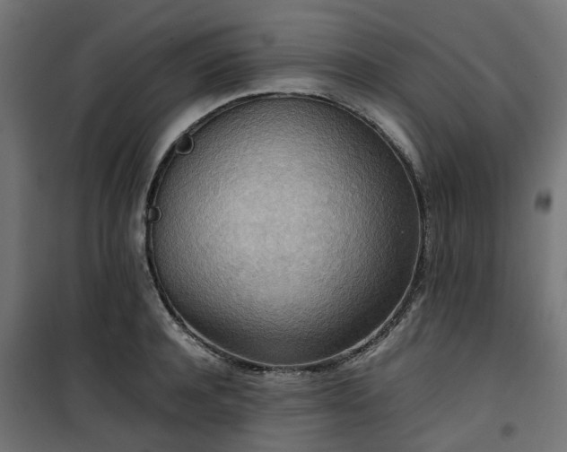 X0000100480944200806201626
