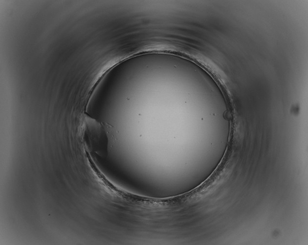 X0000100480945200806201626