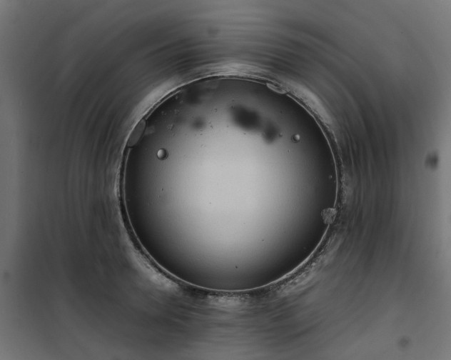 X0000100480946200806201626