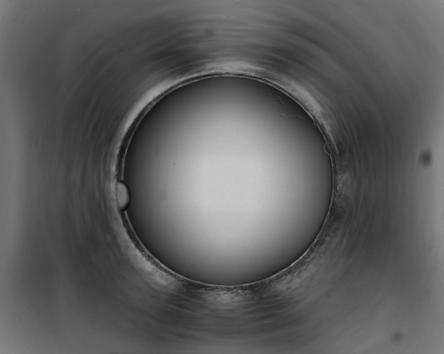 X0000100480947200806201626