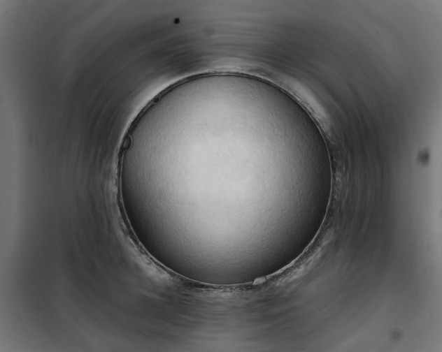 X0000100480948200806201626