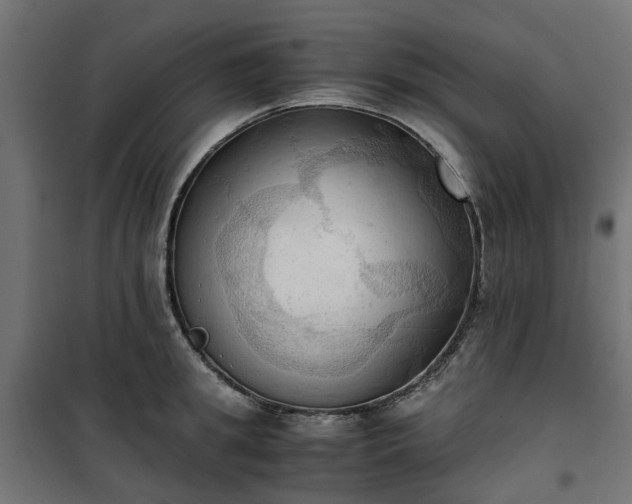 X0000100480949200806201626