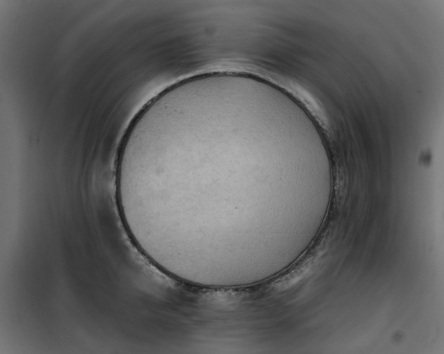X0000100480950200806201626