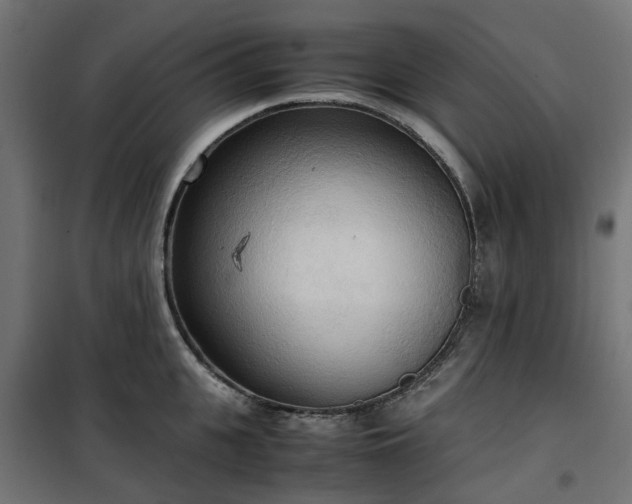 X0000100480951200806201627