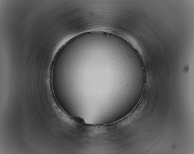X0000100480952200806201627