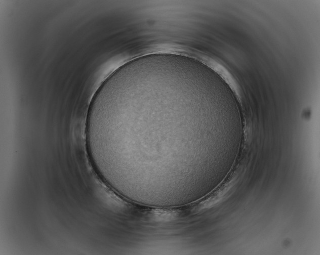 X0000100480954200806201627