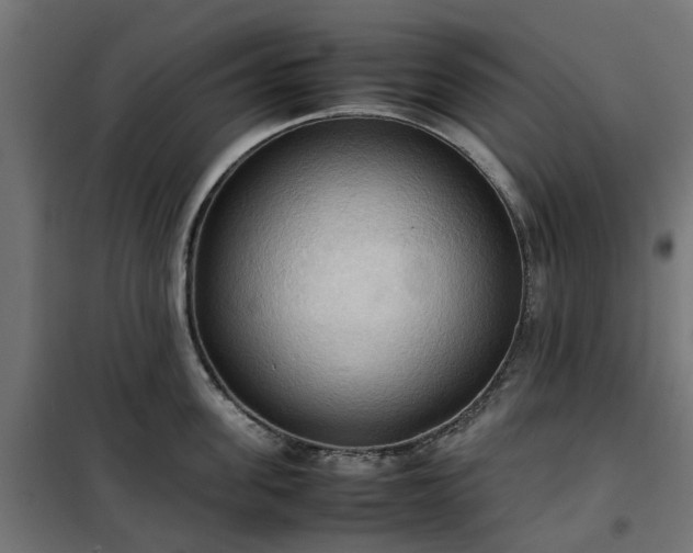 X0000100480955200806201627