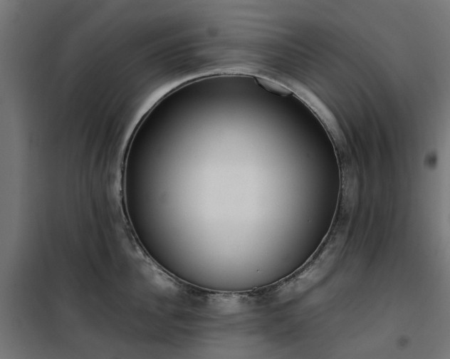 X0000100480956200806201627