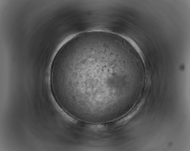 X0000100480957200806201627