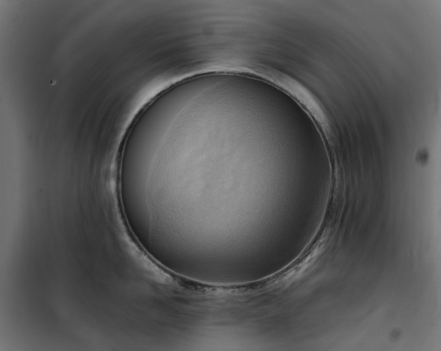 X0000100480958200806201627