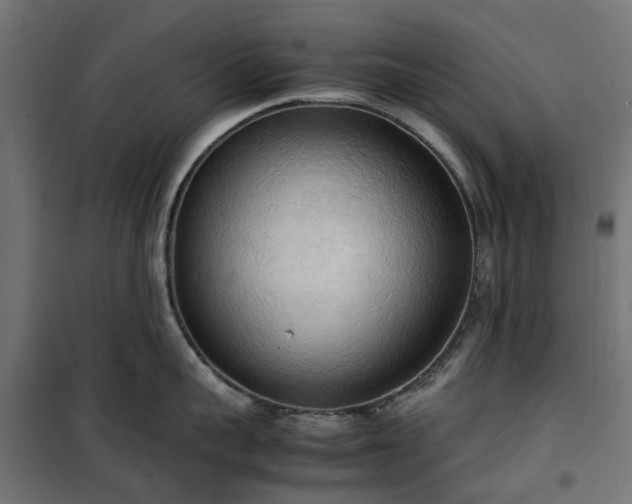 X0000100480959200806201627