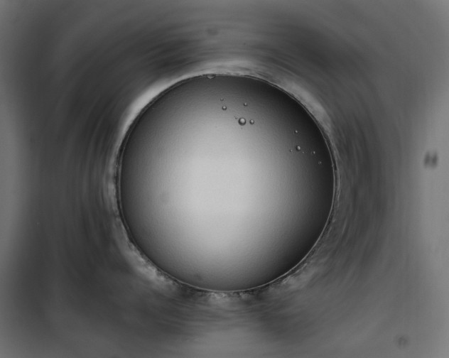 X0000100480960200806201627