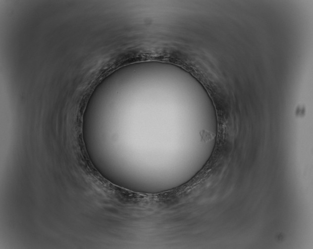 X0000100480961200806201626