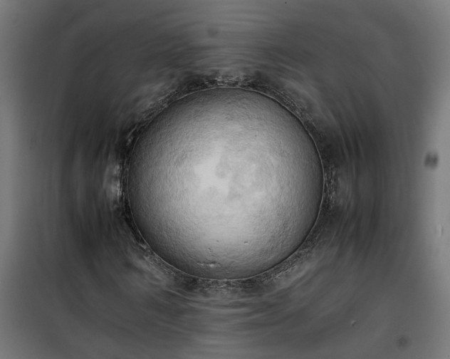 X0000100480962200806201626