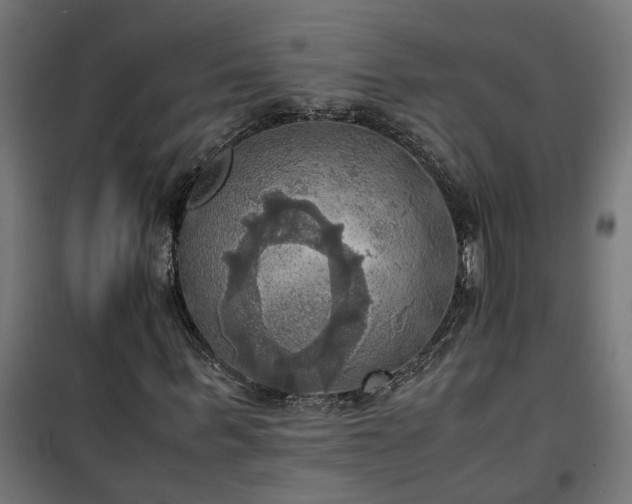 X0000100480963200806201626