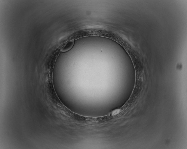 X0000100480965200806201626