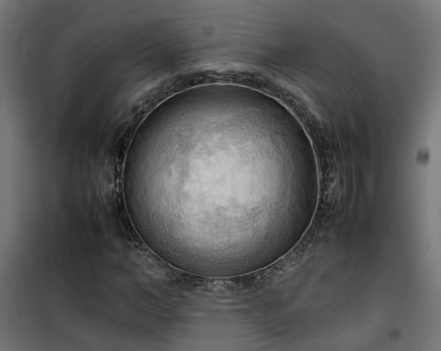 X0000100480966200806201626