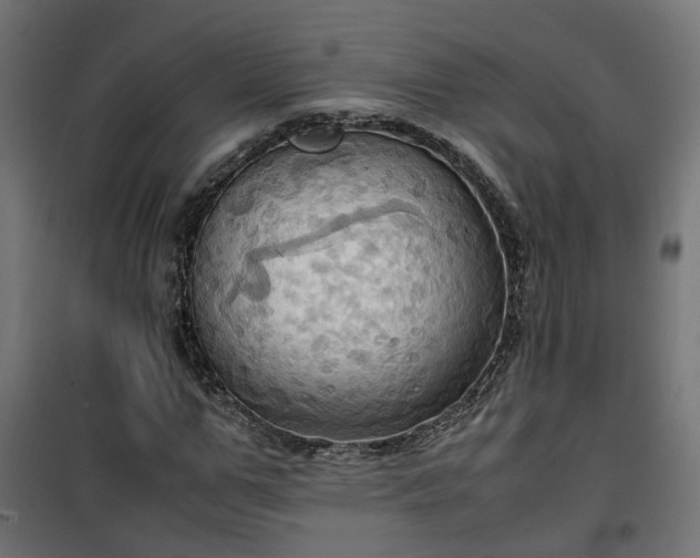 X0000100480967200806201626