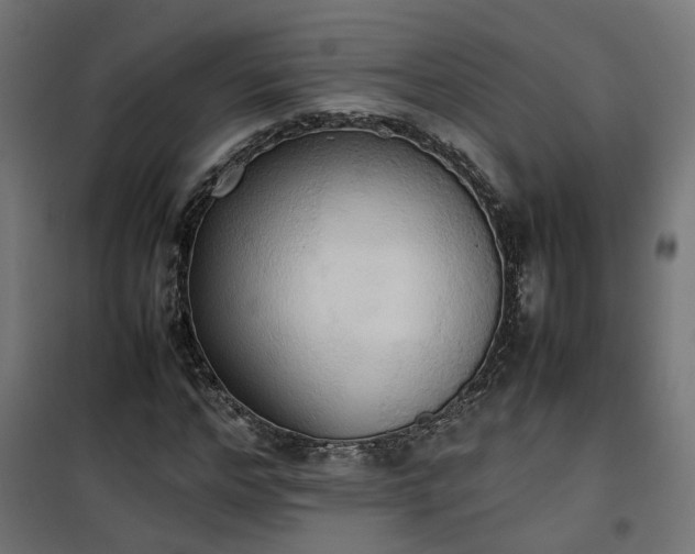 X0000100480968200806201626