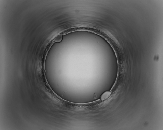 X0000100480969200806201626