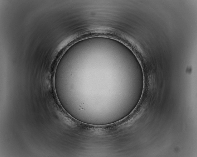 X0000100480970200806201626