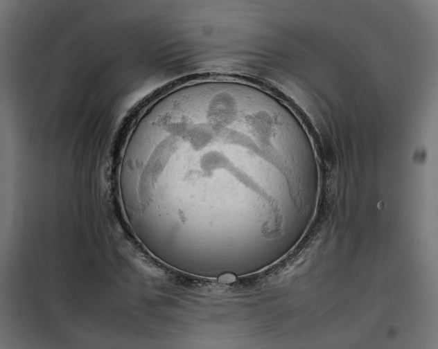X0000100480971200806201626