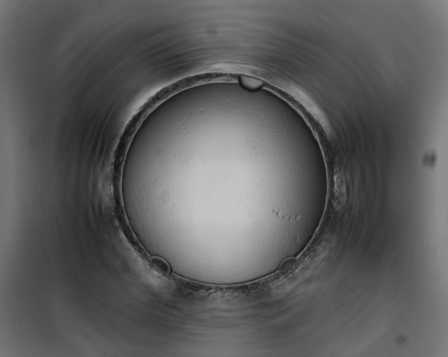X0000100480972200806201626