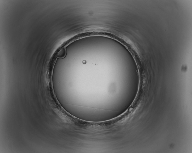 X0000100480973200806201626