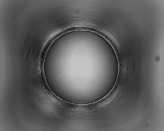 X0000100480974200806201626