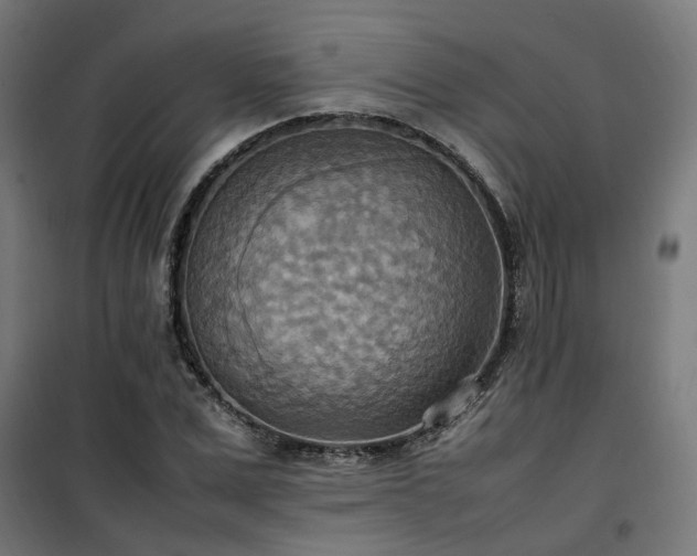 X0000100480975200806201626