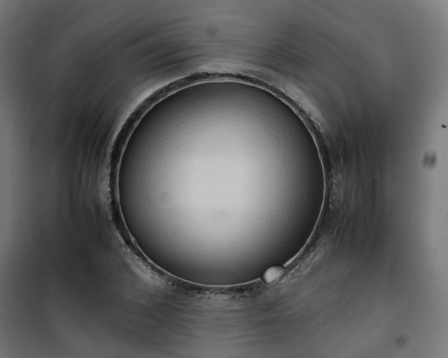 X0000100480976200806201626