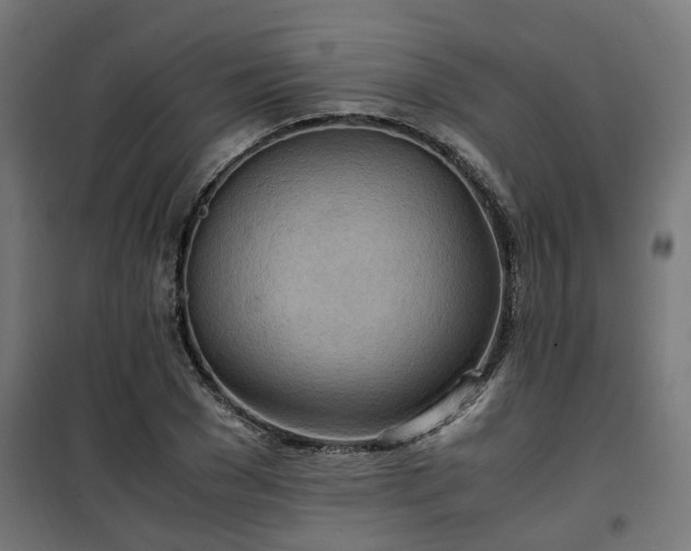X0000100480977200806201626
