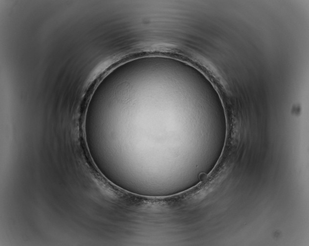 X0000100480978200806201626