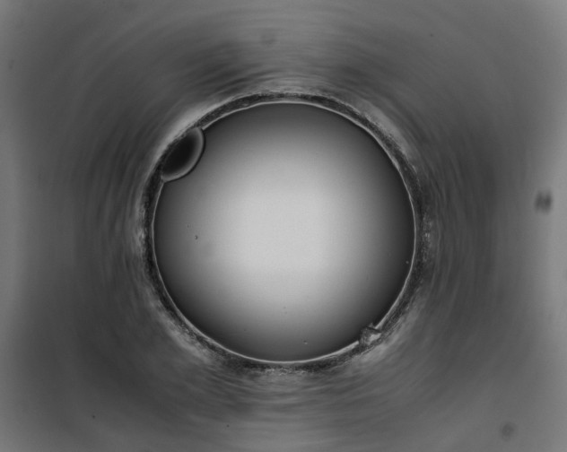 X0000100480981200806201626