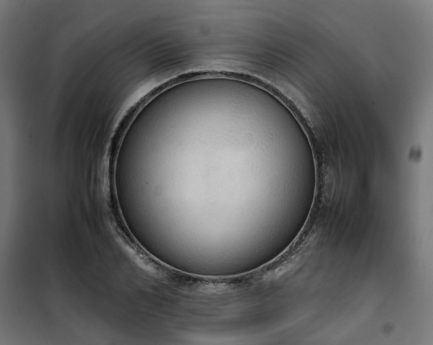 X0000100480982200806201626
