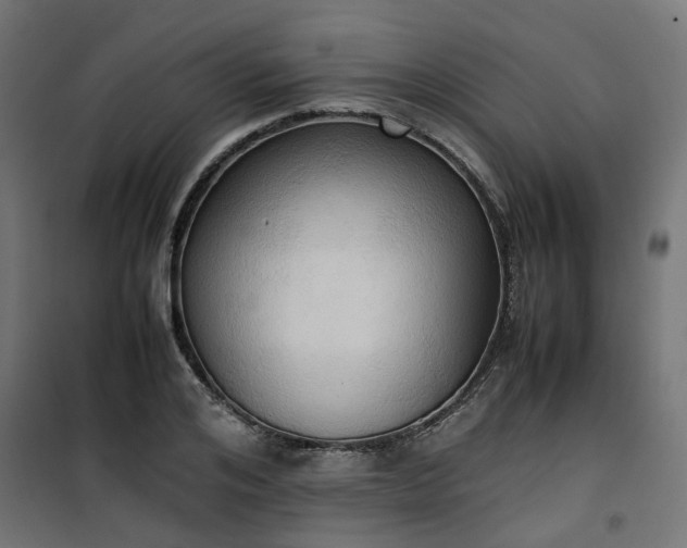 X0000100480984200806201626