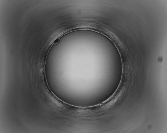 X0000100480985200806201626