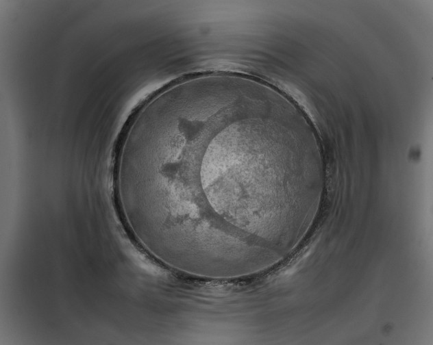 X0000100480987200806201625
